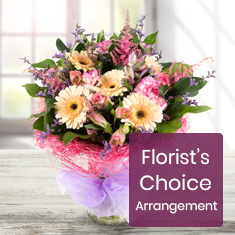 Florist&#39;s Choice Arrangement